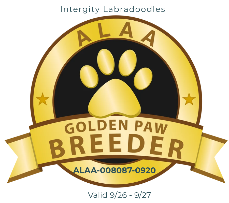 ALAA Gold Paw